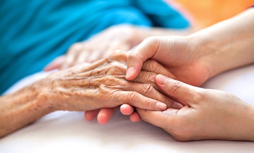 Georgia Probate Attorneys Guardianship